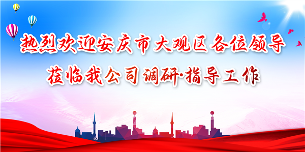 安慶市大觀區(qū)領(lǐng)導(dǎo)蒞臨我公司調(diào)研工作，為發(fā)展注入新動力